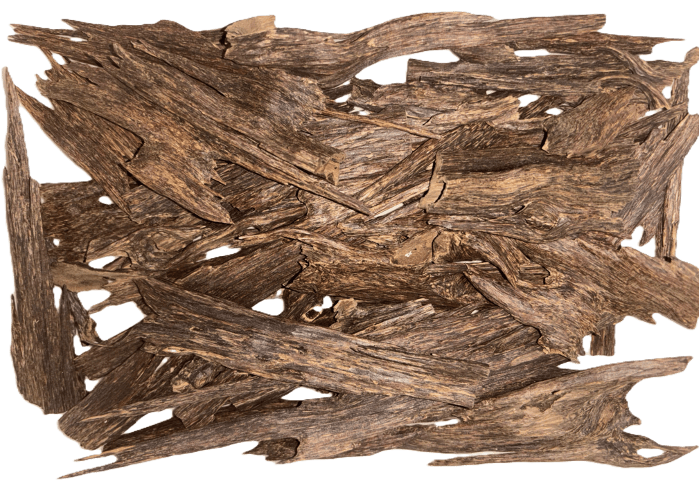 Indian Oud