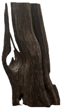 Indian Oud