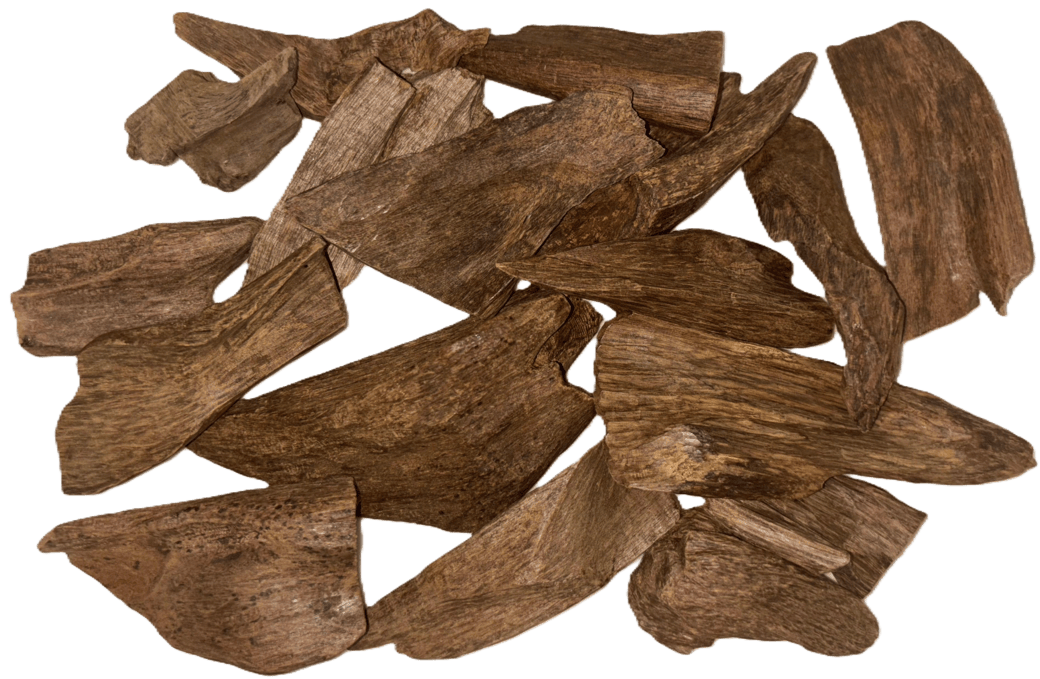 Maruki Oud