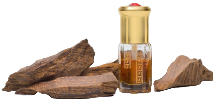 Dhan Oud Oil